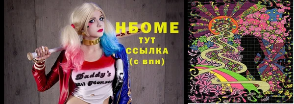 ешки Алексин