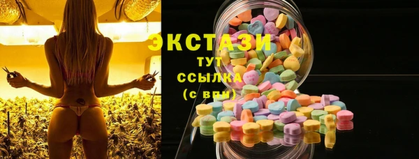 ешки Алексин