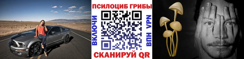купить наркотики цена Николаевск-на-Амуре MEGA вход Псилоцибиновые грибы Magic Shrooms